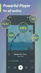 Weezer Lite, MP3 Music player screenshot 4