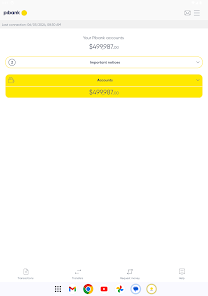 Pibank USA screenshot 6