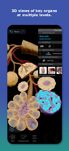 Human Anatomy Atlas 2026 screenshot 2