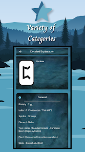 Runes Reading–Runic Divination screenshot 4