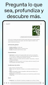 ChatGPT screenshot 10