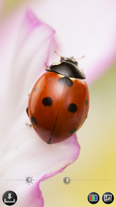 Lente di ingrandimento screenshot 5