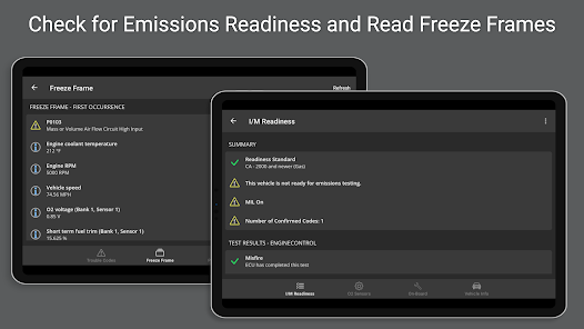 OBD Fusion (Car Diagnostics) screenshot 21