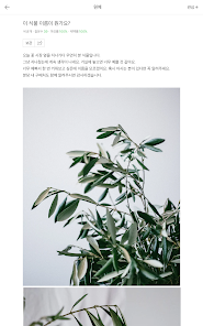 NAVER Knowledge iN, eXpert screenshot 14