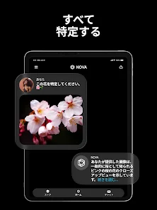 日本語のAIチャットボット - Nova screenshot 14