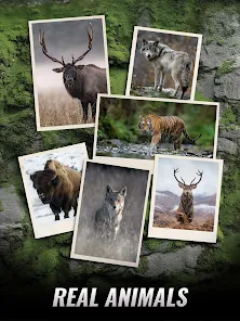 Trophy Hunter - Shooting Game screenshot 17