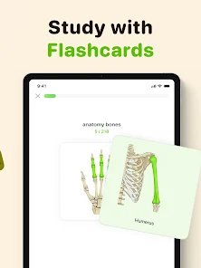 Focus Tree: Timer & Flashcards screenshot 11