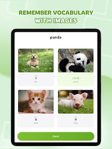 HeyJapan: Learn Japanese screenshot 13