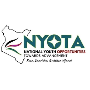 NYOTA-FUND screenshot 2