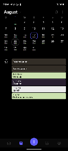 Morgen Calendar & Task Manager screenshot 6