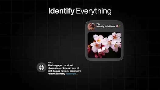 日本語のAIチャットボット - Nova screenshot 30