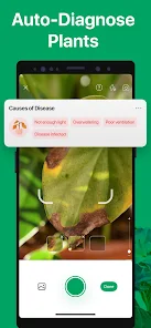 PictureThis - Plant Identifier screenshot 4